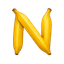 NanoImg logo